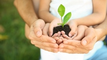 Family holding soil with green plant in hands on blurred background Family holding soil with green plant in hands on blurred background